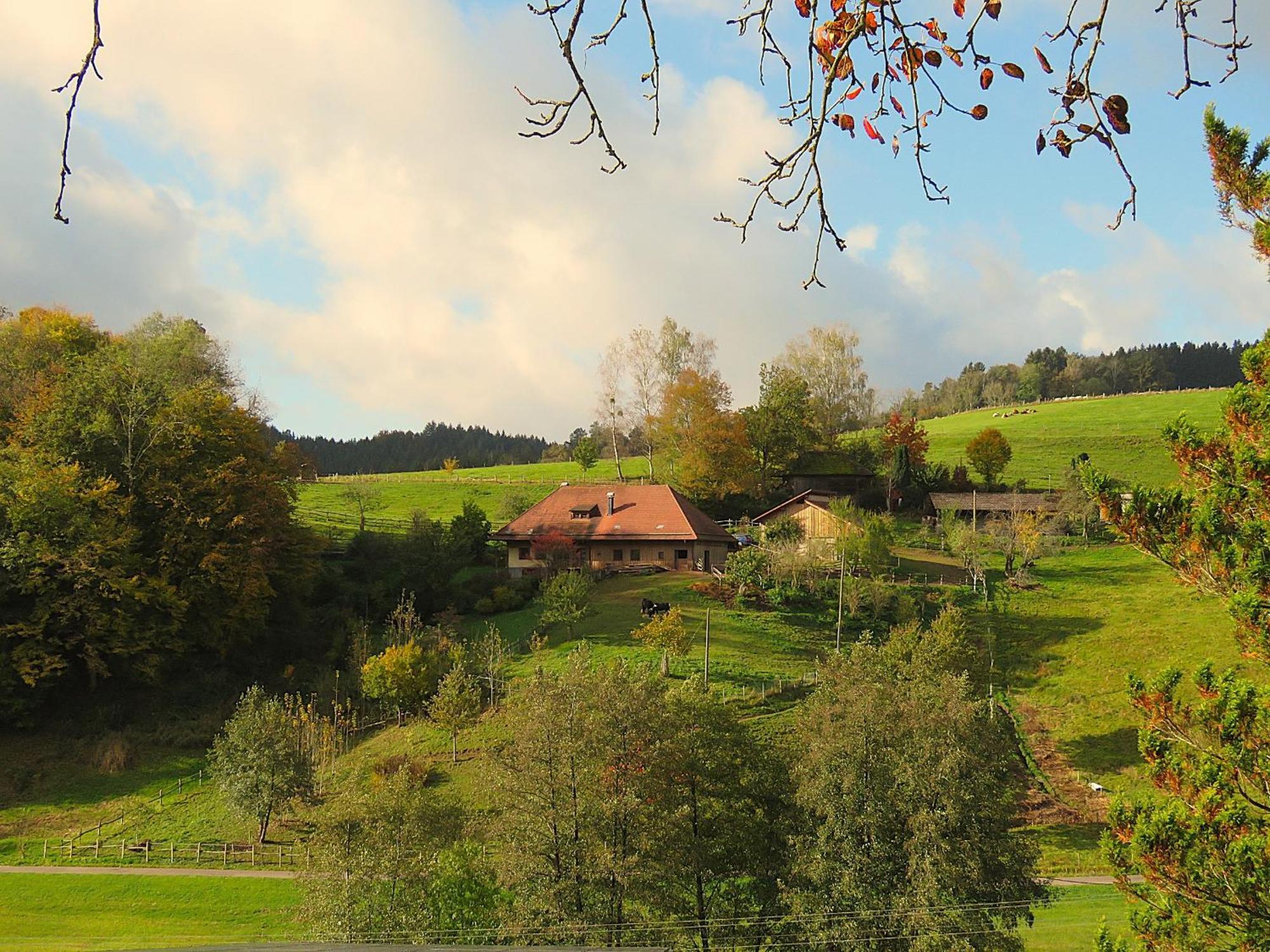 Hernis-Hoefle Elzach Dış mekan fotoğraf