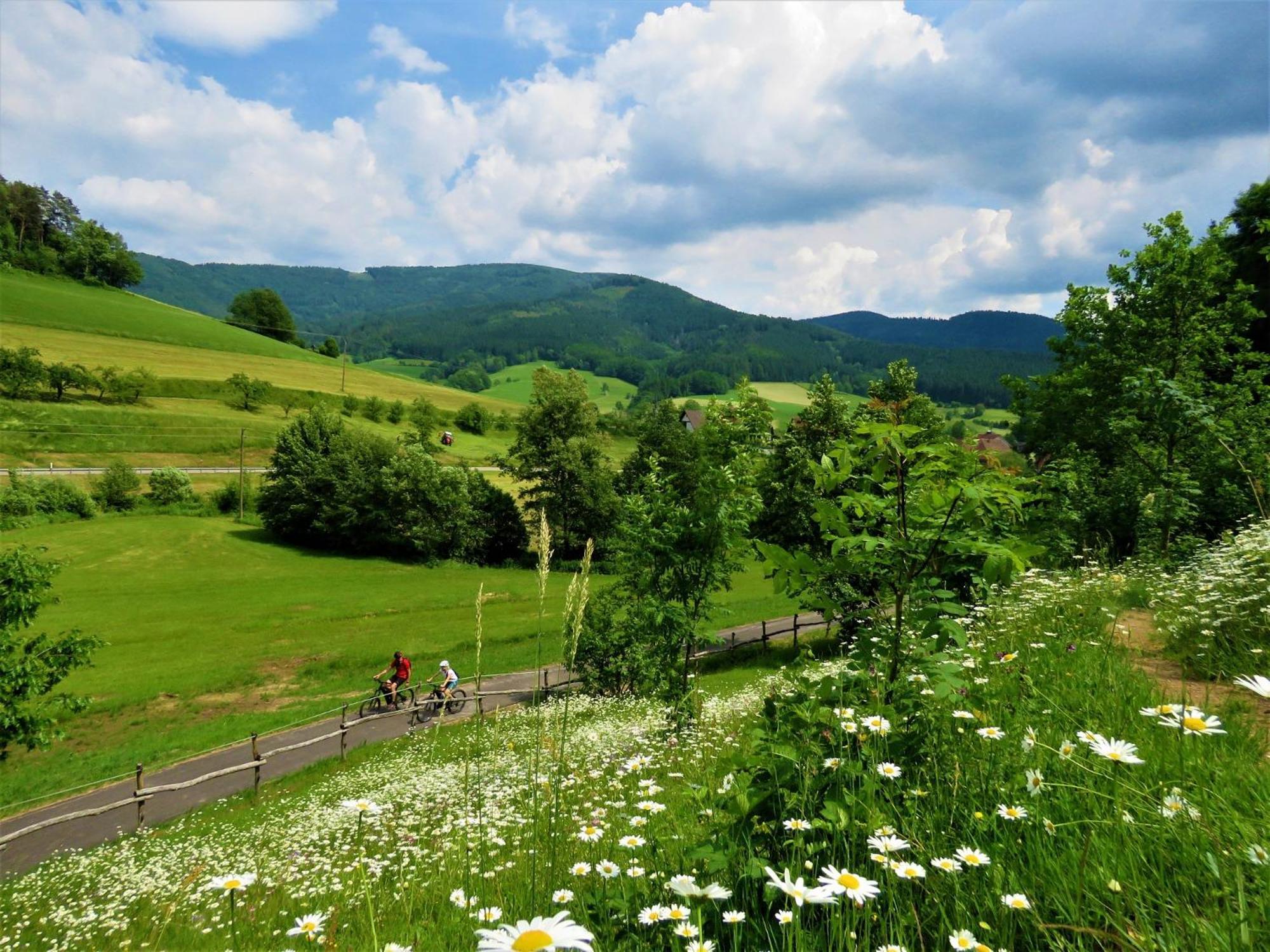 Hernis-Hoefle Elzach Dış mekan fotoğraf